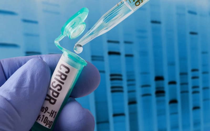 CRISPR Gene Editing in Plant-Based Cancer Treatment — Virgotech's Breakthrough Findings