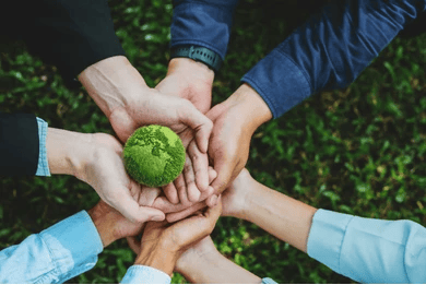 Environmental Sustainability Initiatives